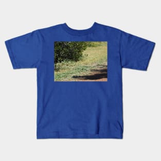 Hidden squirrel Kids T-Shirt